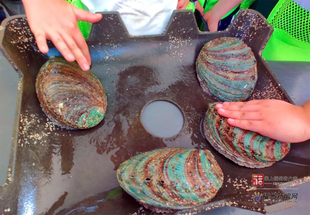 51吃瓜网今日黑料 网今二、日黑传播速度快