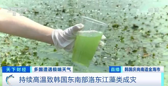 2019中文字字幕23页 虽然新技术不断涌现