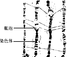 黑爆料不打烊官网 打烊使用便捷：无需复杂注册
