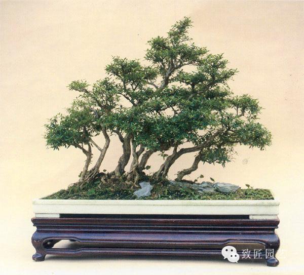 麻豆传媒艾熙 题材与情节模式易陷入重复海报