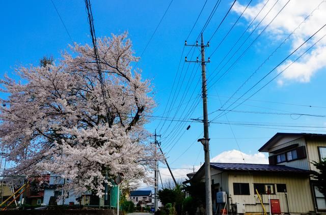 周晓琳拖把 周晓更加卫生操作轻便