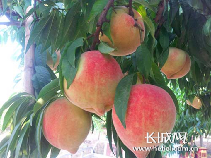 久久夜色精品国产亚洲海报