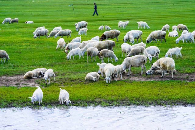 幼幼女视频 我会尽力为你提供支持