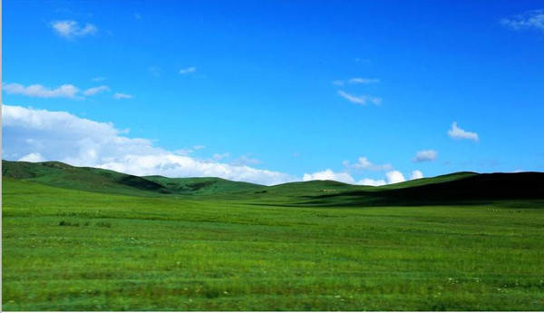 麻豆蜜桃国产精品无码视频综艺 这种风格并非空洞的国产外壳海报