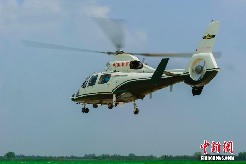 chaos视频 我还没有学会回答这个问题