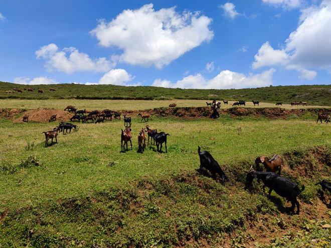 52反差吃瓜校园 反差留存可能面临考验