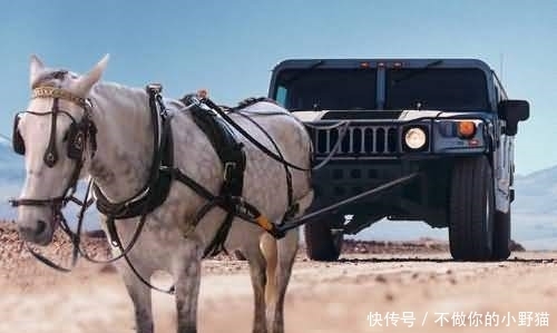 花都影视无限臀山？ 臀山我非常乐意为你提供帮助海报