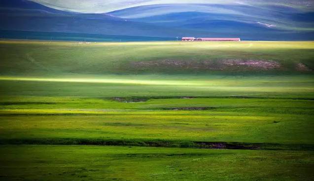 小马拉大车. 小马拉大车. 机械或物理比喻：字面意思