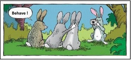 债视频 债视频避免单一信息误导