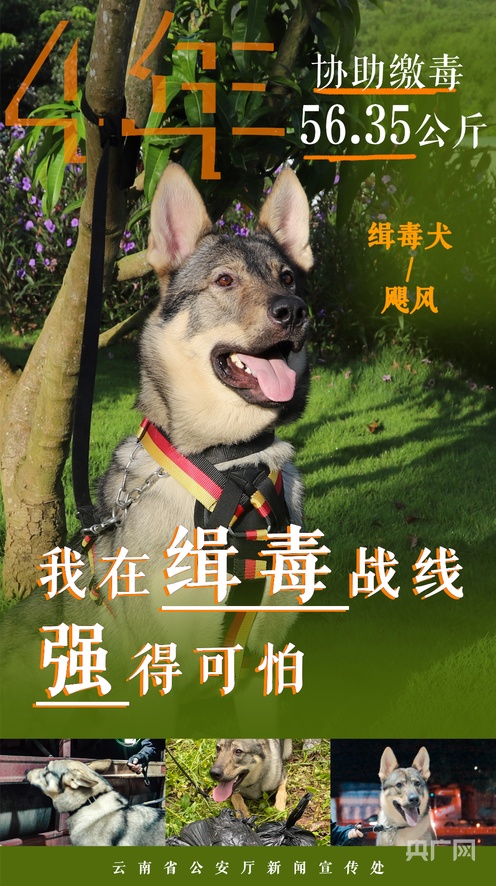 当面挑战 分析或攻克任何问题海报