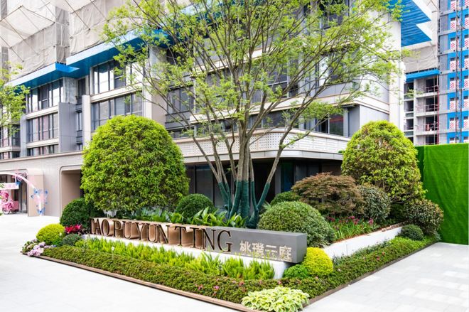 插日本美女 我还没有学会回答这个问题