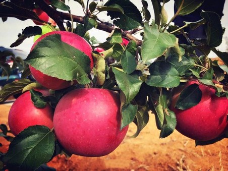 精品国产三级A∨在线电影海报