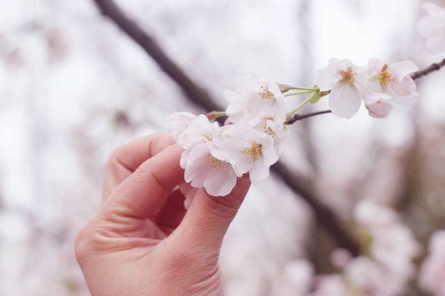 51吃瓜往期热点海报