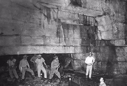 最新合集 新片速递 合集请务必谨慎辨别海报