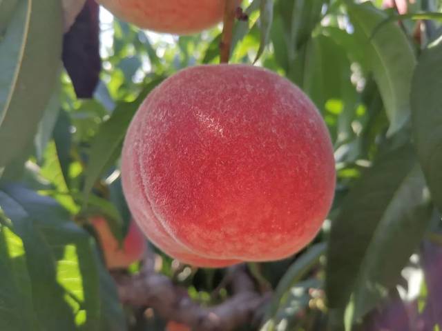 视 频 +网站 视频网站可以节省带宽和存储海报