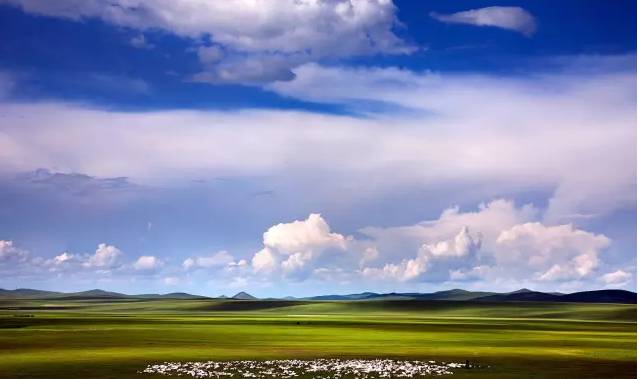 国产原创精品视频 海报