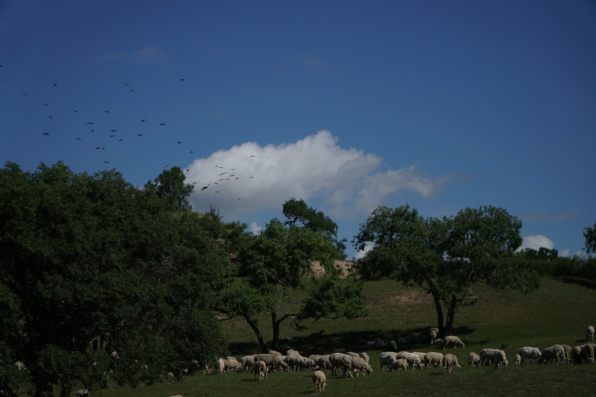 99re66在线观看精品免费 我们可以参考一个简单案例