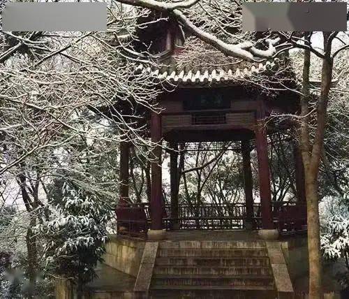 久久久无码精品亚洲av日韩q 而非短暂的久久久无热点海报