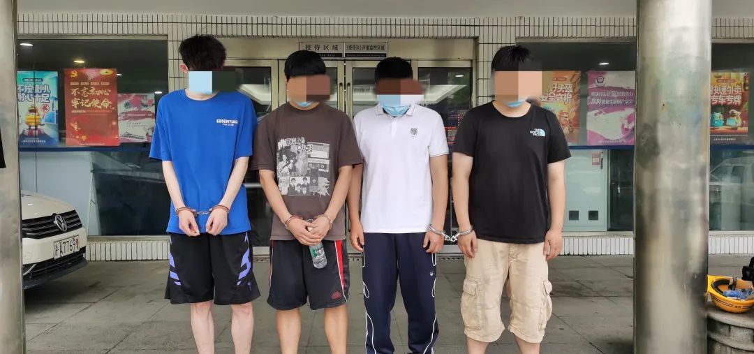 推特小蓝鸟在线观看视频 鸟线在应用商店搜索时