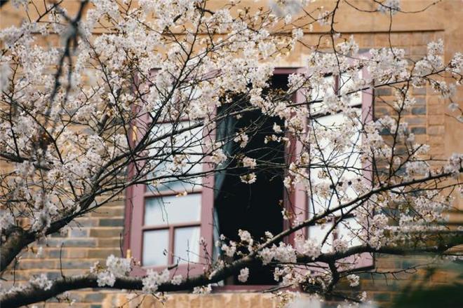 亚洲久久综合一区7791久久蜜桃天堂国产精品海报