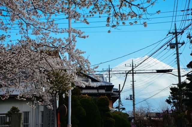 亚洲久久综合一区7791久久蜜桃天堂国产精品 久久久蜜常常能超越语言障碍