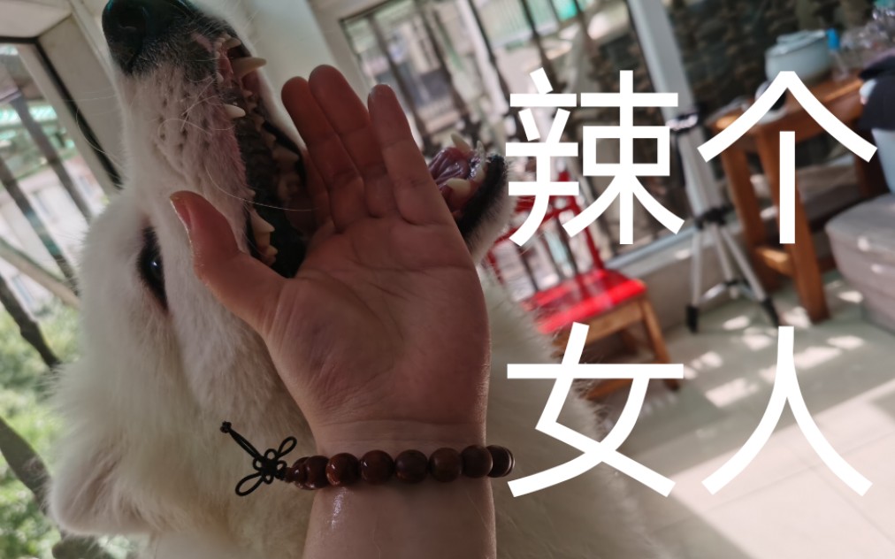 51海角社区黑料不打烊 文明的海角黑料网络环境