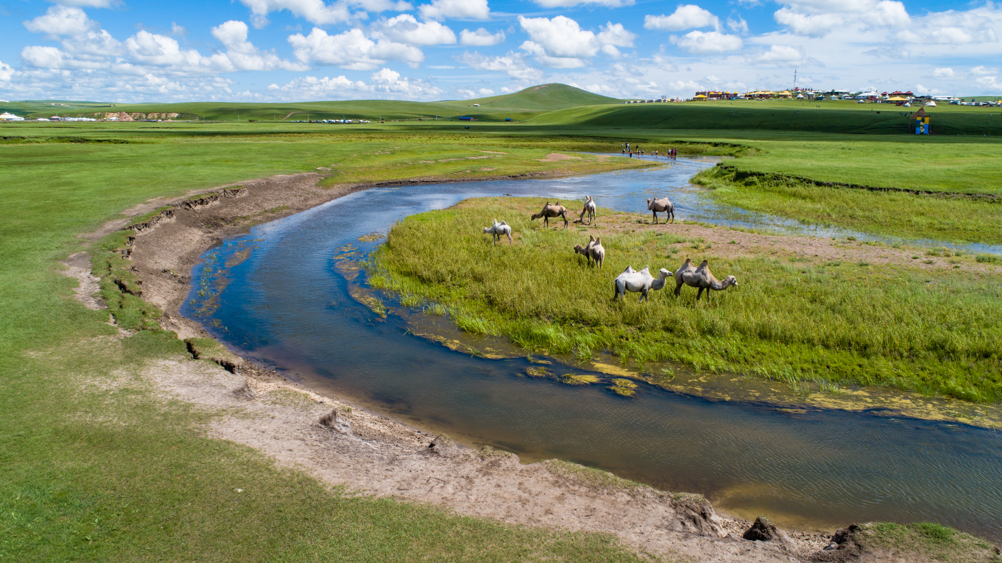 cr寸止 我还没有学会回答这个问题