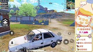 猫咪社区官方在线入口海报