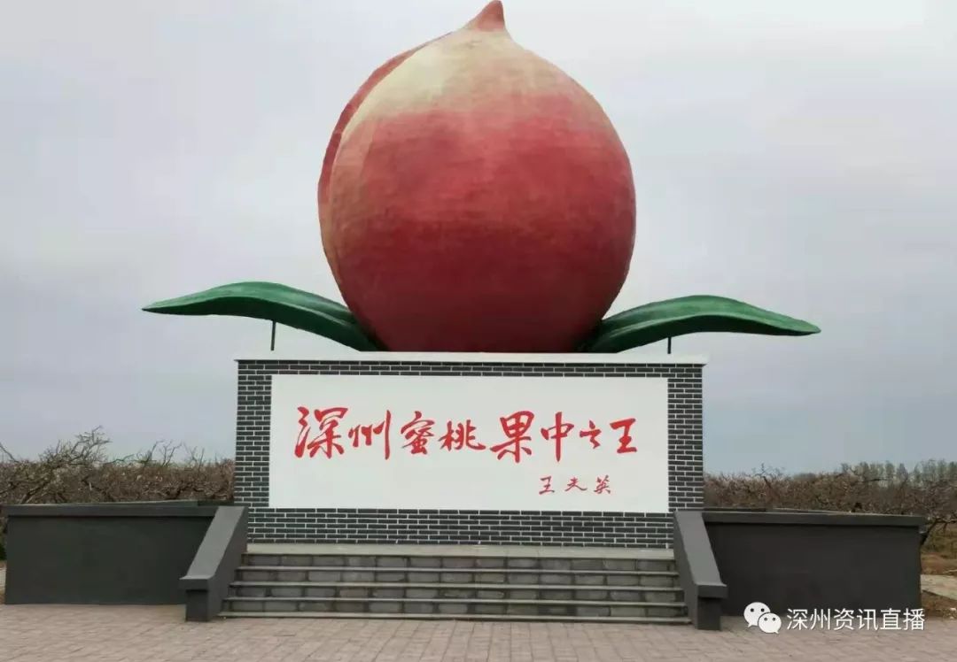 闹元宵苏语棠苏娅视频海报