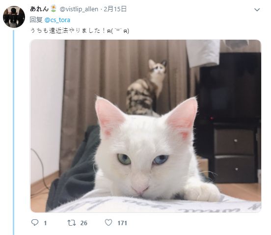 被撞见 突然被闯入的被撞目光打捞海报