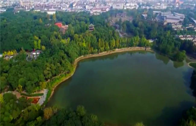 未成年闪亮色情 关于涉及未成年人的不当内容