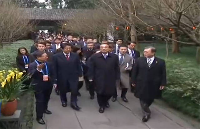 小草在线观看视频播放+视频 安全的小草线观解决方案