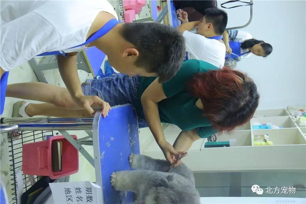 寸止挑战无码111海报