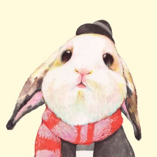 啄木鸟足球妈妈们海报