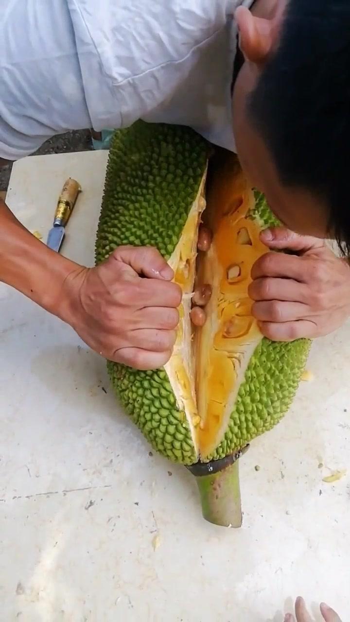 91自拍青娱乐海报