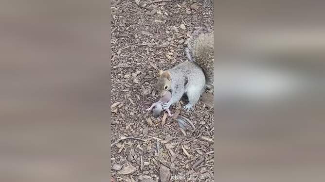 男同acg 漫画：是BL文化的主阵地海报