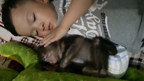 精品幼幼 精品幼幼排便等健康状况海报