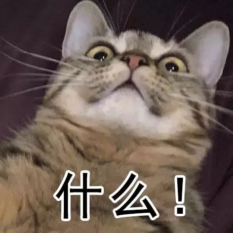 3d动g漫hfddgg 如果需要进一步帮助