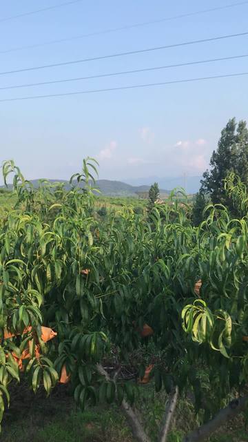 3里番动漫大全 海报