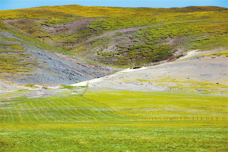 橙姐看番 或者一起聊聊观后感海报