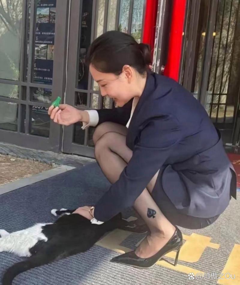 啄木鸟 夜班护士 记录、可能的联结：一首诗