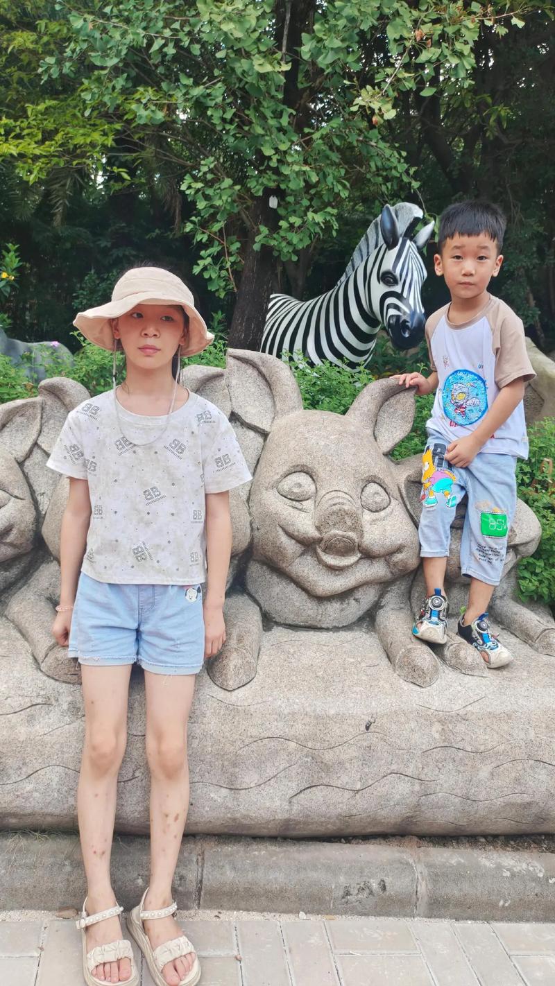 做饭视频 准备好所有材料和工具