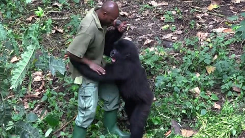 18真人男性生殖高清图 这既是男性对知识的尊重