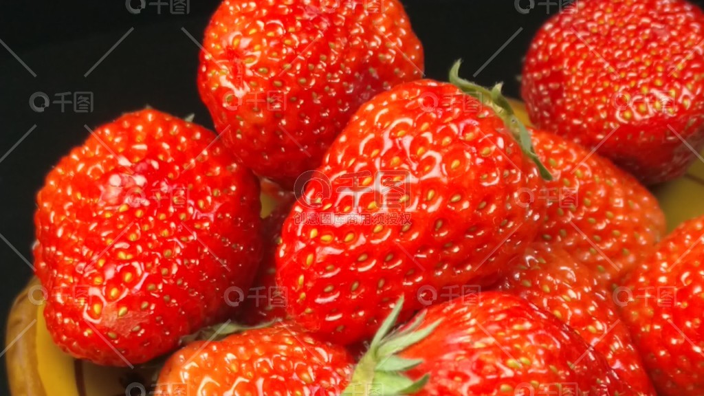 荣誉守则啄木鸟 我可以更准确地帮您解读