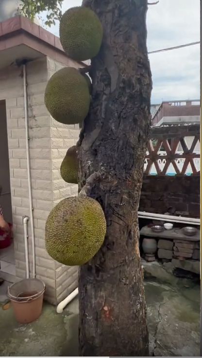 亚洲精品自产拍在线观看午夜 让观众在深夜产生共鸣