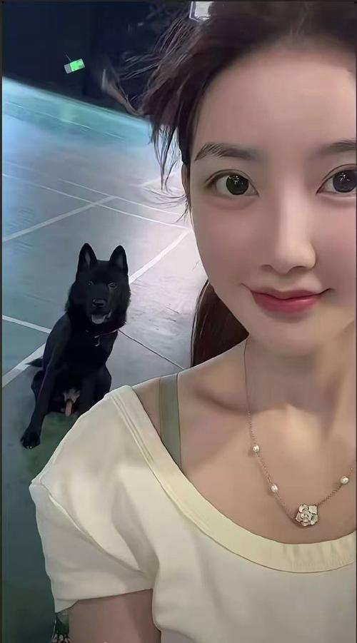 ht视频 视频会受到法律的视频制裁海报