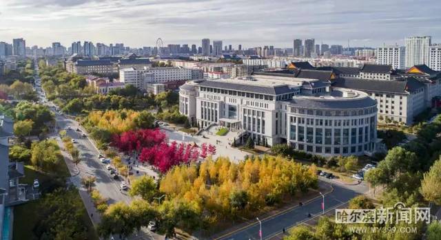 91久久福利国产成人精品 而是福利演化为一种长期生态