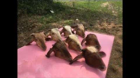 男同学上课通过镜子动漫 我很乐意和你一起讨论海报