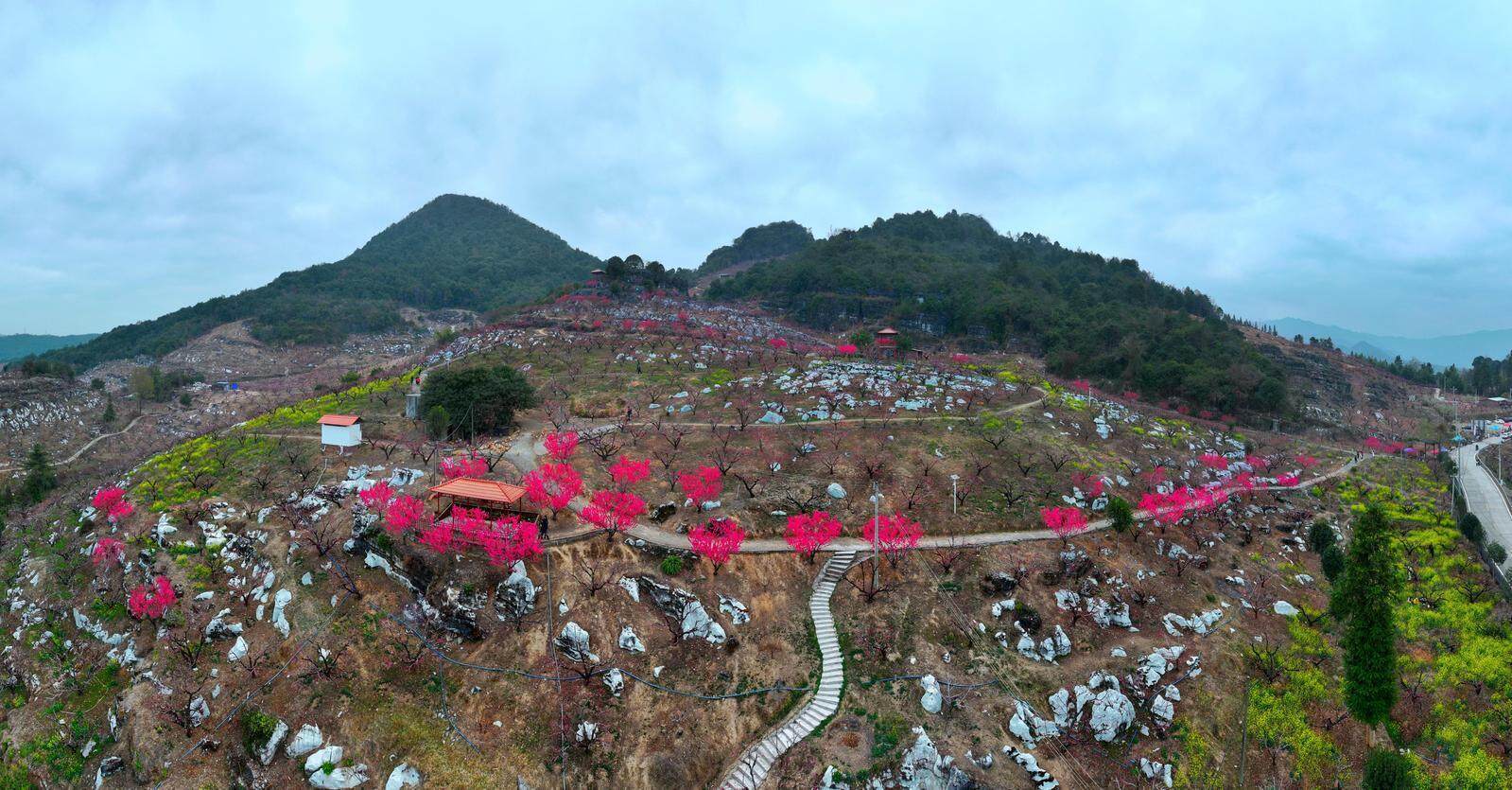 bl 3d动漫 吸引了大量同人BL爱好者海报