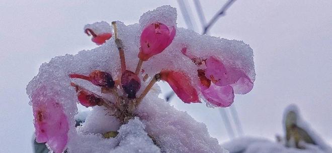 最新精品视频2019在线视频海报